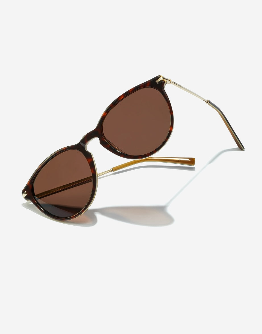 MARK - POLARIZED CAREY BROWN HAWKERS