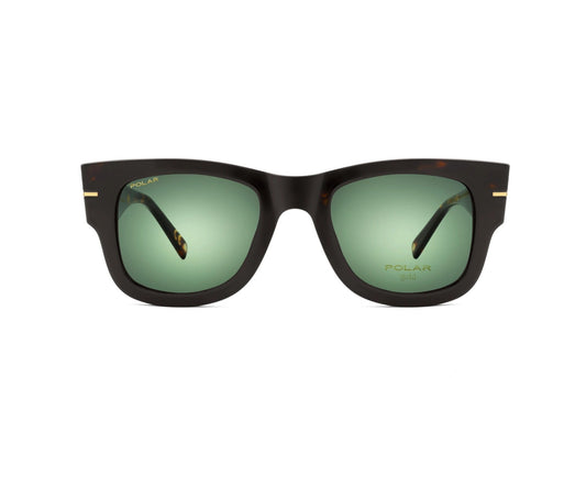Polar Gold 64 Clip One – Havana / Vert Polar