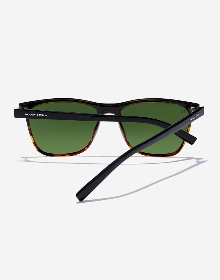 WAVE - POLARIZED CAREY ALLIGATOR Nwadri