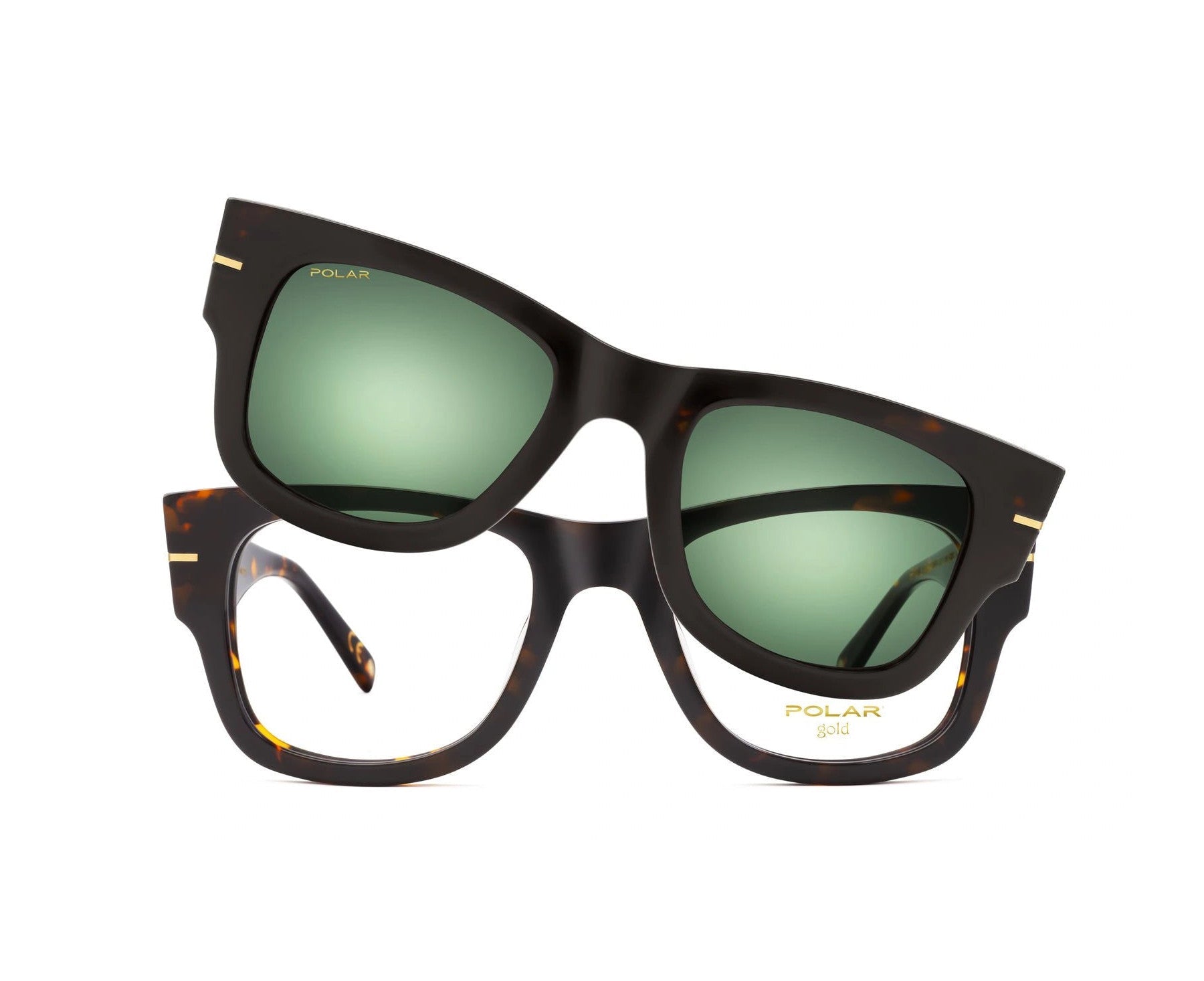 Polar Gold 64 Clip One – Havana / Vert Polar