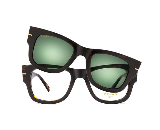 Polar Gold 64 Clip One – Havana / Vert Polar