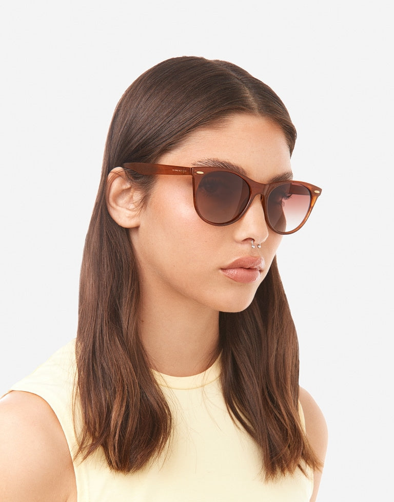 HARLOW - POLARIZED BROWN HORN Nwadri