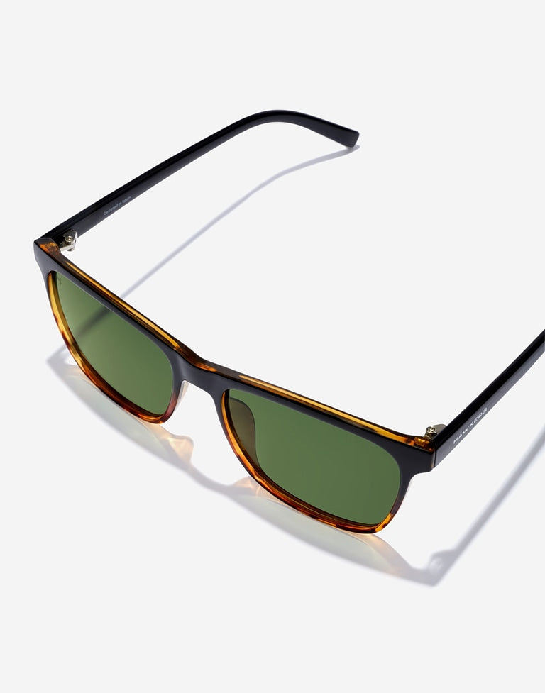 WAVE - POLARIZED CAREY ALLIGATOR Nwadri