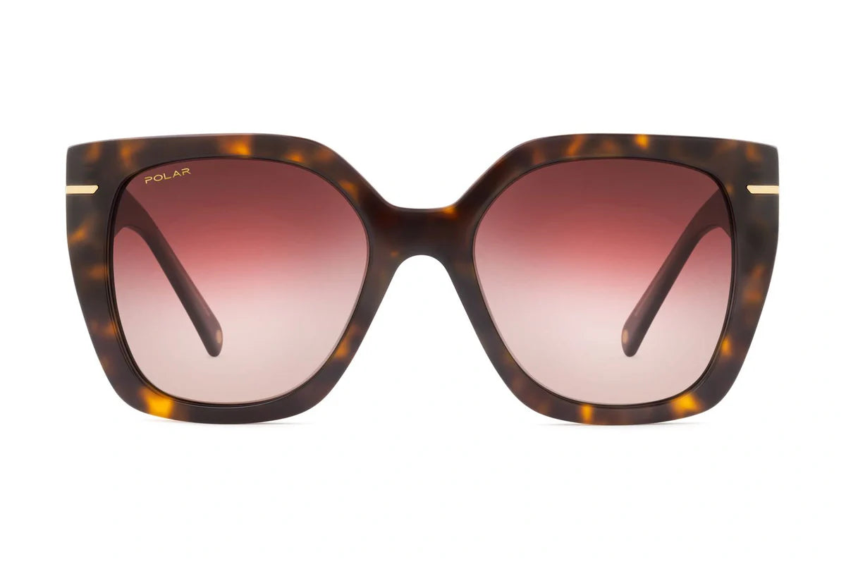 Polar Gold 3022 – Havane Polar