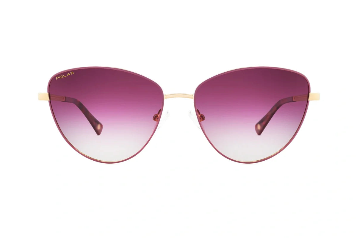 Polar Gold 307 – Argent Mat Polar